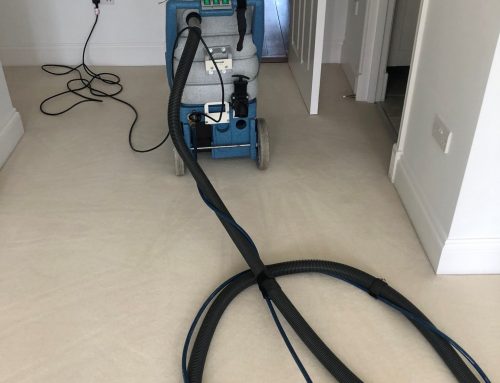 HOW OFTEN SHOULD YOU HAVE YOUR CARPETS CLEANED?