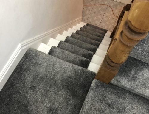 How to professionally clean carpets