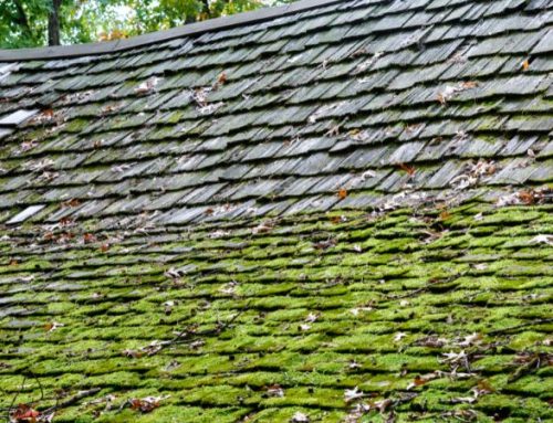 5 Benefits Of Roof Cleaning